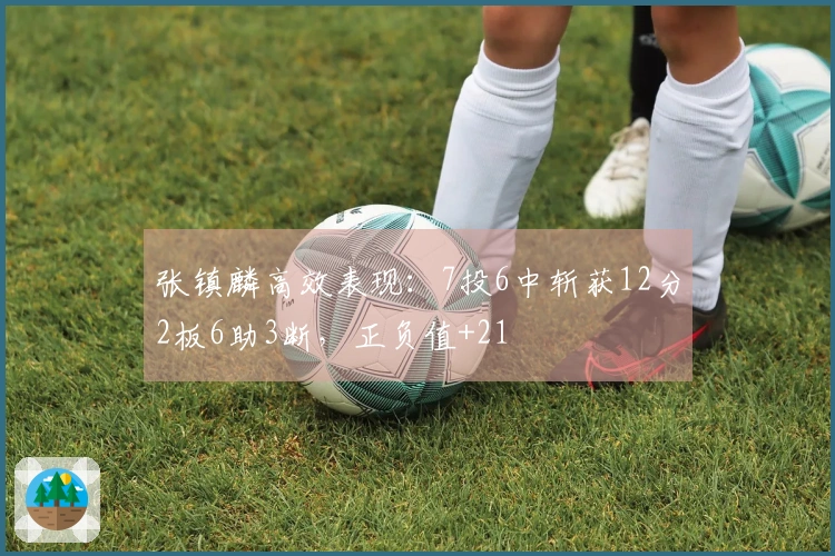 张镇麟高效表现：7投6中斩获12分2板6助3断，正负值+21