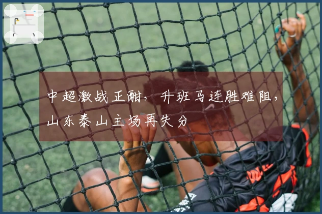 中超激战正酣，升班马连胜难阻，山东泰山主场再失分